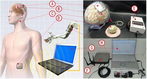 wireless neuroengineering devices